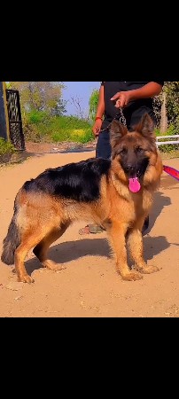 थंबनेल 3