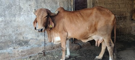 थंबनेल 3