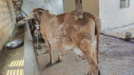 थंबनेल 3