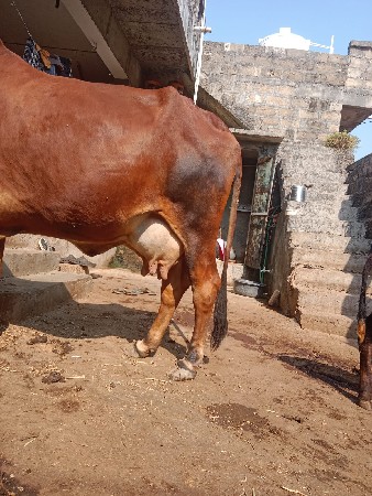 थंबनेल 3