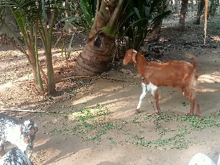 थंबनेल 2