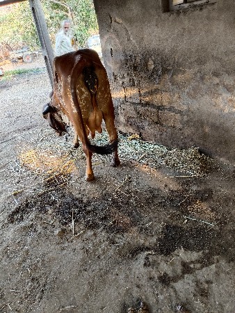 थंबनेल 2