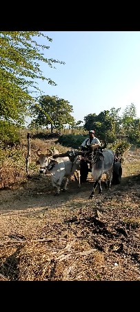 थंबनेल 3