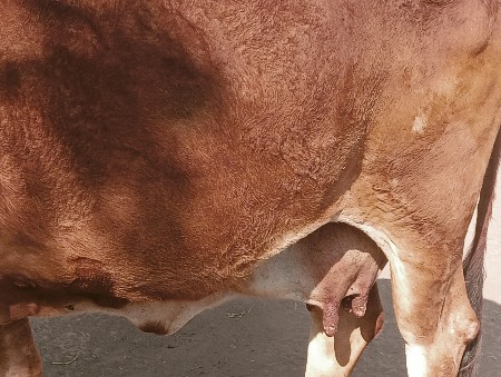 थंबनेल 3