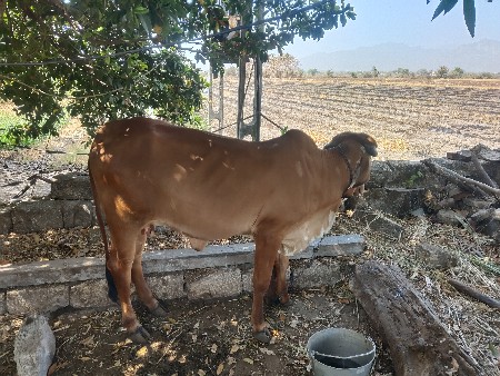 थंबनेल 2