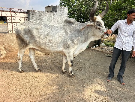 थंबनेल 2