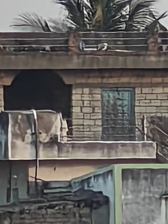 ભાગ્યું દેવાનું છે 100વિઘા છે