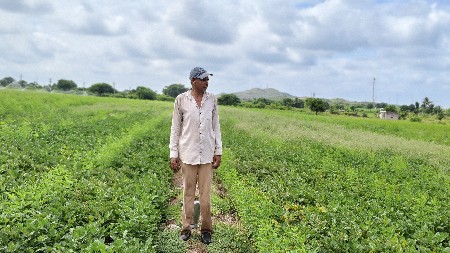 ખેતીની જમીન વેચવાની છે