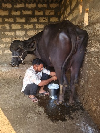 थंबनेल 5