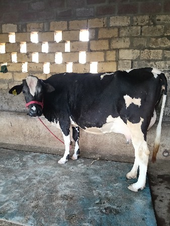 थंबनेल 2