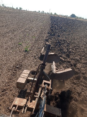 ખેપાવેશવાછે