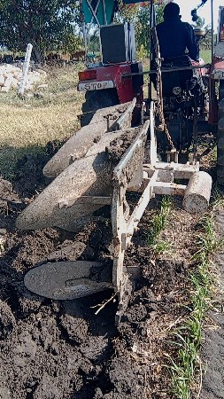 બાબા કંપની ના હળ વેશવાના છે