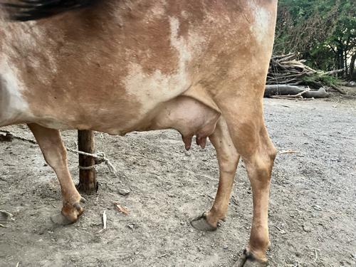 थंबनेल 2