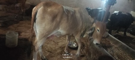 थंबनेल 3