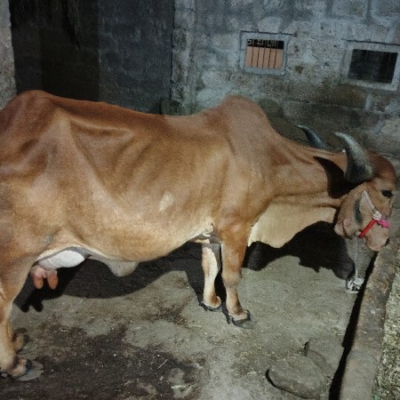 थंबनेल 2