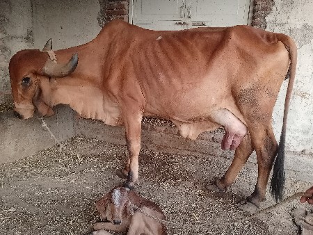 थंबनेल 2