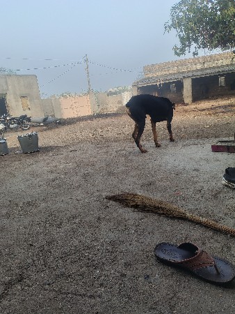 થંબનેલ 3