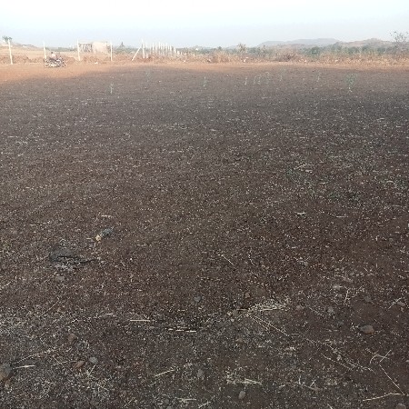 ખેતી ની જમીન વેચવાની છે