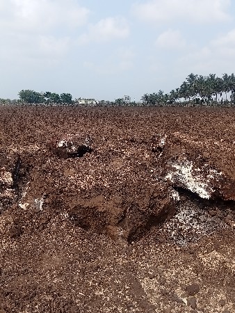 પથ્થર વહેંચવાના છે.