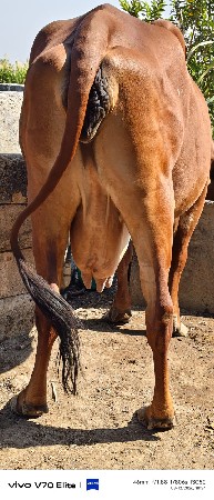 થંબનેલ 3