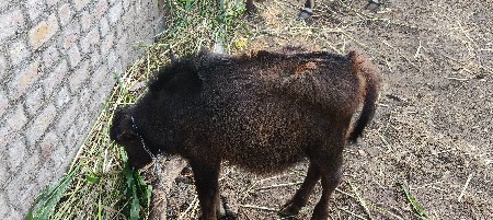 થંબનેલ 3