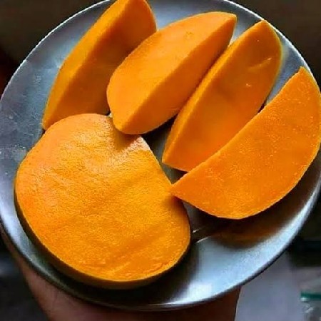 ગીર કૅસર કૅરી