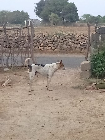 થંબનેલ 2