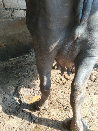 થંબનેલ 2