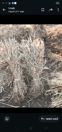 સાર વેચવાની છે