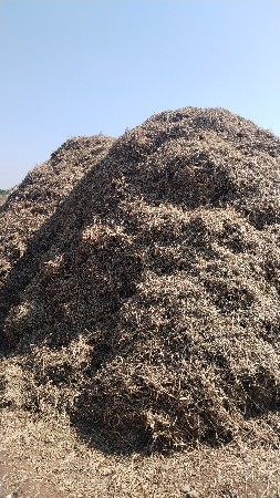 ડુસો વેચવાનો છે.