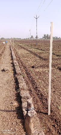 ઝટકા થાંભલી.