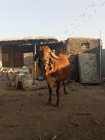 थंबनेल 3