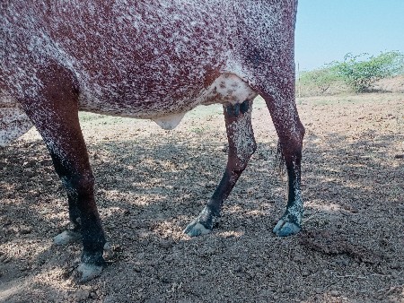 थंबनेल 2