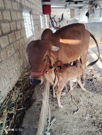 थंबनेल 2