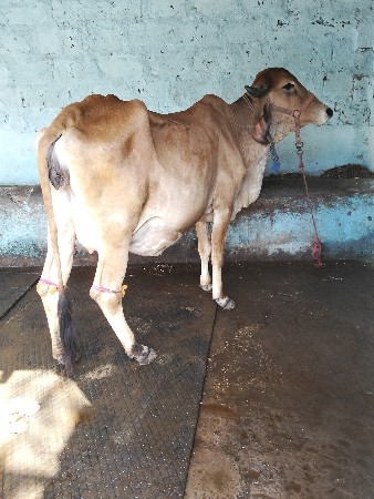 थंबनेल 2