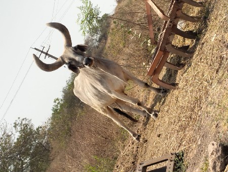 थंबनेल 2