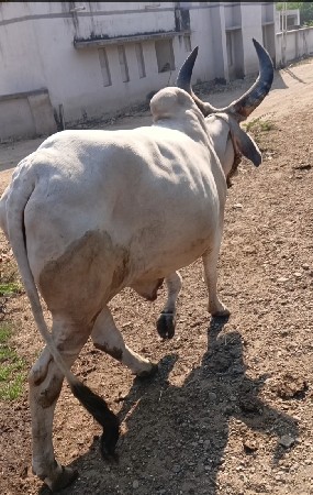 थंबनेल 2