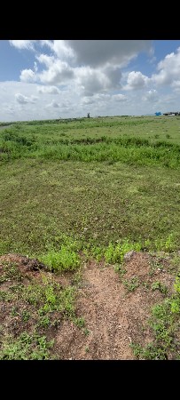 2.5 vigha jamin vechvani che