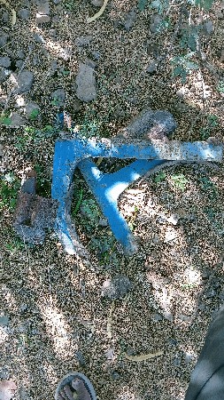 orani data vacha vana saaa 21