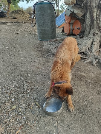 थंबनेल 2