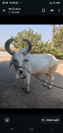 थंबनेल 3