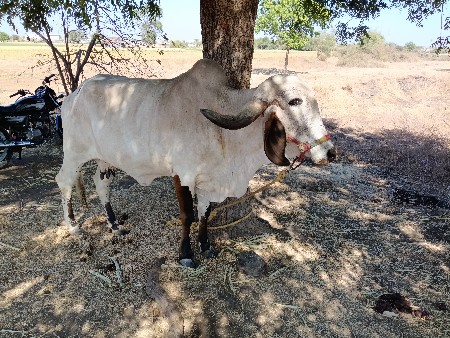 थंबनेल 2