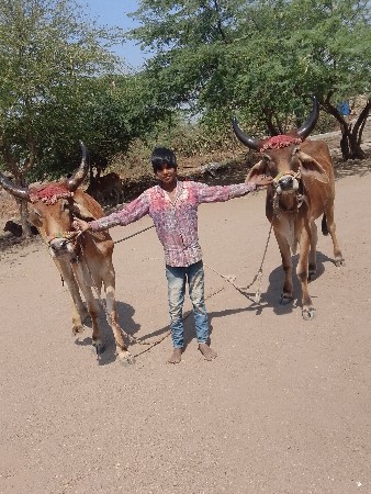 જામનગર જીલ્લો ભાણવડ તાલુકો દેવભૂમિ