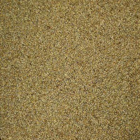 બાજરો વેચવાનો છે પાયો નેર છે