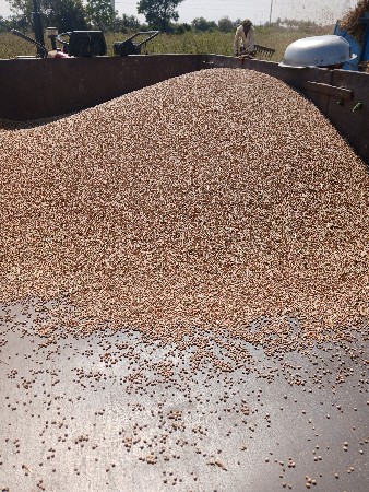 જમીન વેચાણ છે  19 વિધા