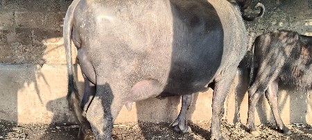 थंबनेल 3