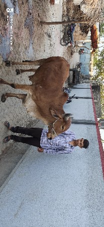 थंबनेल 3