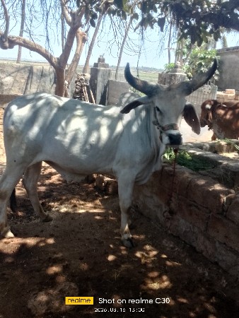 थंबनेल 3