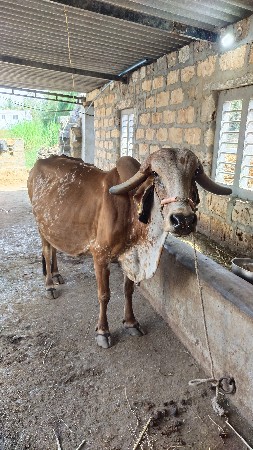 थंबनेल 2