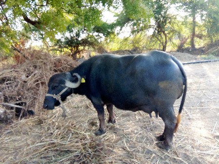 થંબનેલ 3